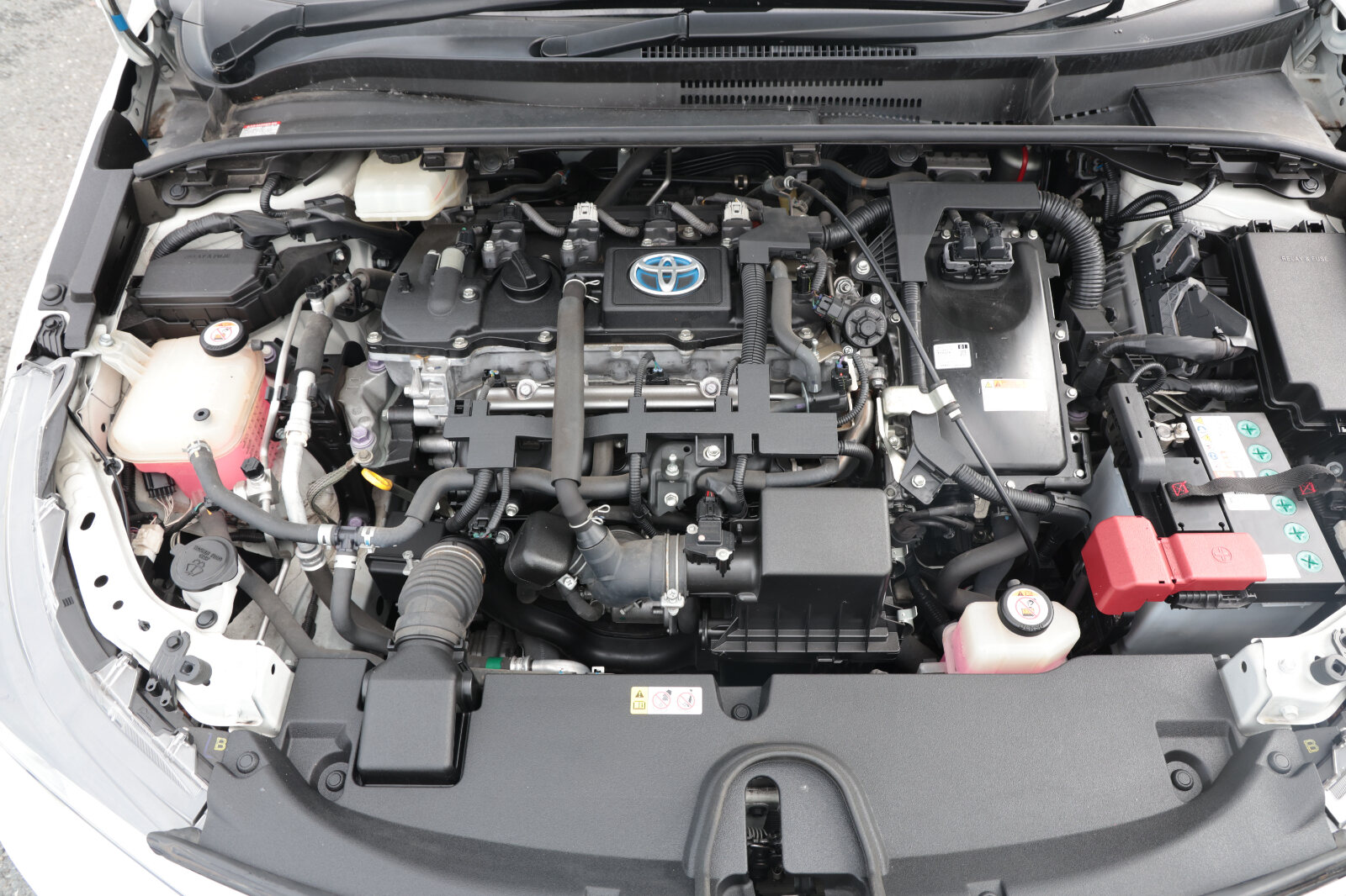 Toyota Corolla White - Image 28