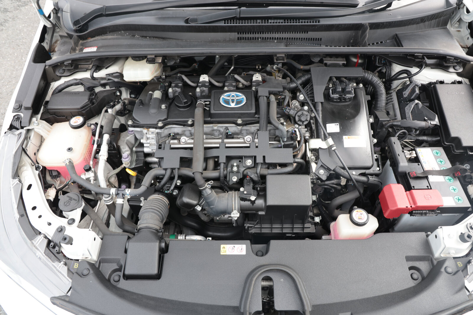 Toyota Corolla White - Image 29